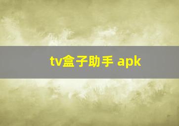 tv盒子助手 apk